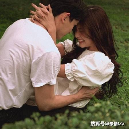 破碎的动物图形